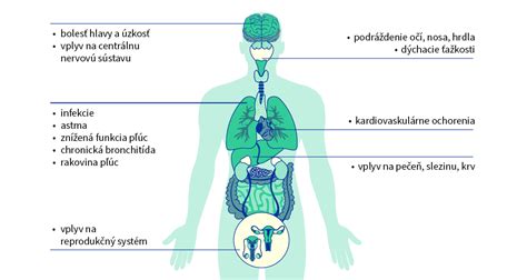 Diagram znázorňujúci škodlivé látky v cigaretovom dyme a ich vplyv na telo