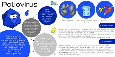 Infografika znázorňujúca zloženie hexavakcíny a choroby, proti ktorým chráni