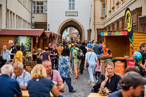 Ilustrácia Lazára ležiaceho pri bráne boháča, ktorého obhryzajú psy.