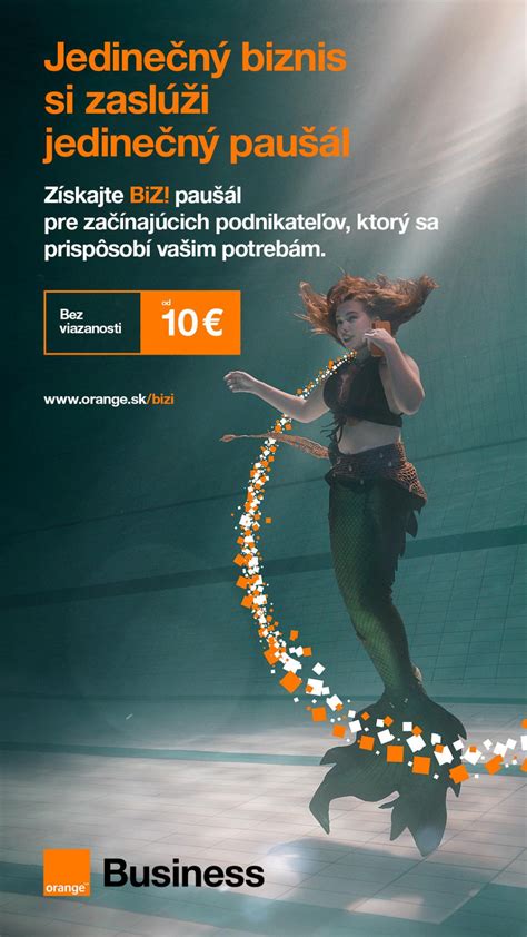 Štruktúra podpory pre začínajúcich podnikateľov