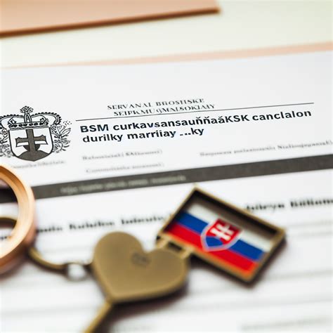 Diagram znázorňujúci proces vzniku, trvania a zániku BSM