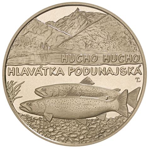 Diagram znázorňujúci umiestnenie vstupného otvoru a priehlbiny na dne búdky
