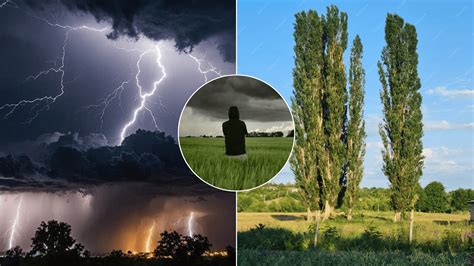 Ilustrácia znázorňujúca silný strom odolávajúci búrke