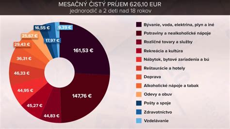 Infografika znázorňujúca mesačné výdavky na domácnosť