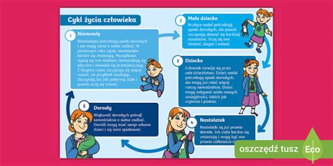Infografika znázorňujúca etapy rekonštrukcie