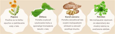 Sacharidy a zadržiavanie vody