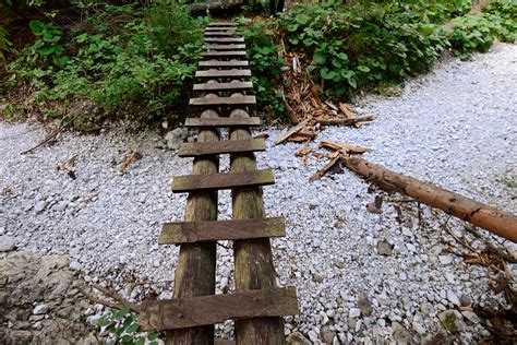 Vyschnuté koryto potoka