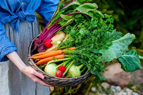 Rôzne druhy zeleniny pripravené na krájanie