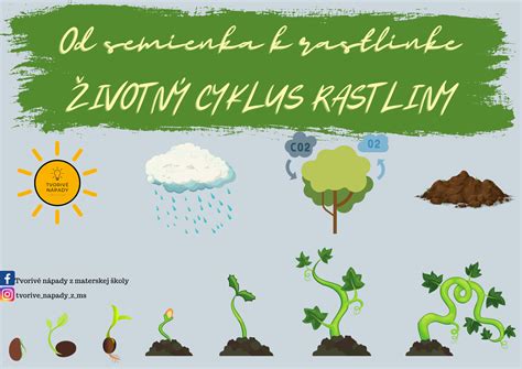 Ilustrácia znázorňujúca cyklus šírenia chrípkového vírusu