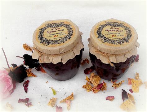 Ilustrácia jedlých lupeňov ruží a šípok