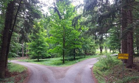Zelený park alebo lesná cestička v blízkosti Krasňan