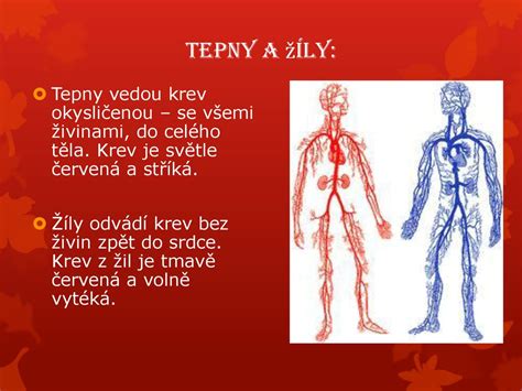 Ilustrácia žily s zavedenou kanylou