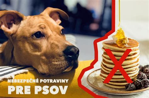 Ilustrácia rôznych alergénov pre psov (peľ, prach, potraviny)