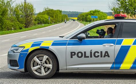 Policajti v službe