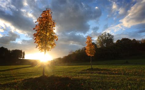 Ilustrácia cesty vedúcej k slnku