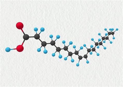 Štruktúra molekuly kyseliny močovej
