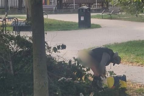 Ilustračná fotografia parku v Ružinove