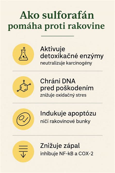 Infografika zobrazujúca rozdelenie zložiek nájomného