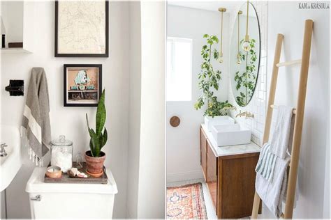 rastliny v kúpeľni