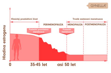Infografika zobrazujúca časovú os klimaktéria s vyznačenými fázami: perimenopauza, menopauza, postmenopauza
