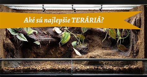 Ukážka správne zariadeného terária pre suchozemskú korytnačku s pieskovým substrátom, úkrytmi a miskami