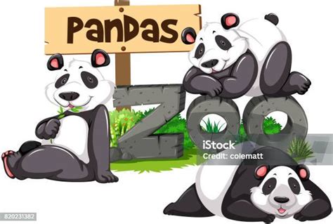 Ilustrácia pandy v ZOO