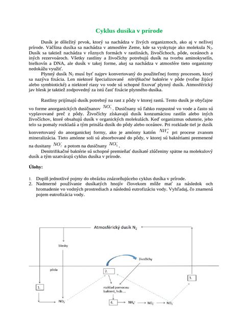 infografika znázorňujúca cyklus dusíka v akváriu