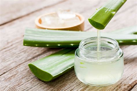 Čerstvý gél aloe vera v miske