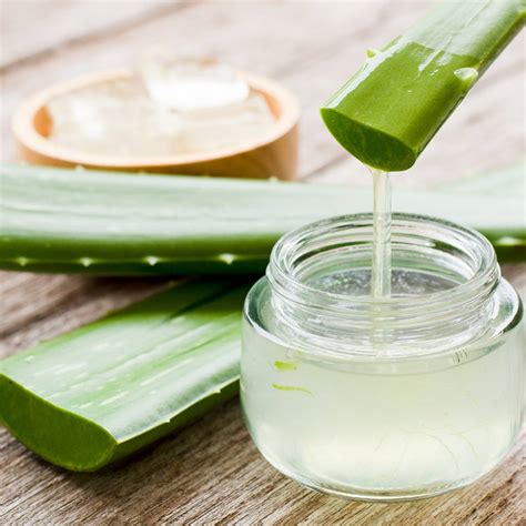 Otvorený list aloe vera s gélovitou dužinou
