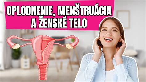 Ženský reprodukčný systém s vajíčkovodom a maternicou