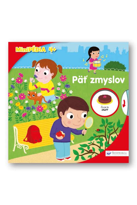 Infografika znázorňujúca päť zmyslov