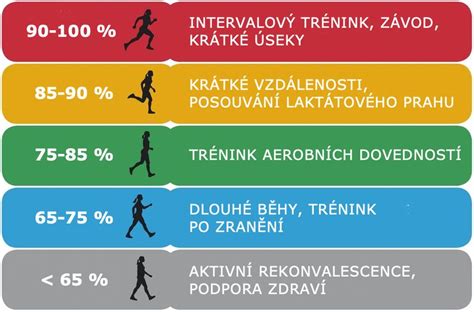 Graf porovnania pokojovej tepovej frekvencie u bežných ľudí a trénovaných športovcov