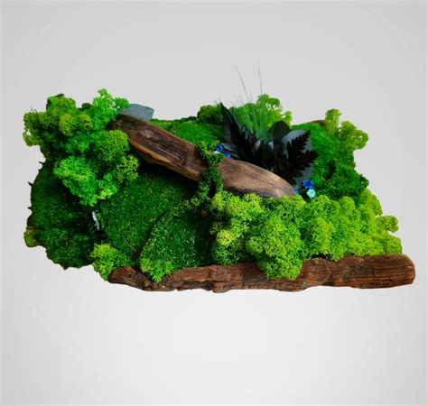 Vianočná dekorácia z machu a dreva