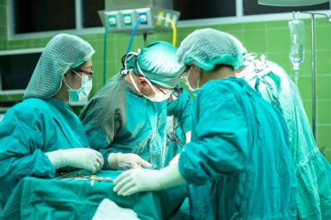 Diagram znázorňujúci orgány vhodné na transplantáciu od živých darcov