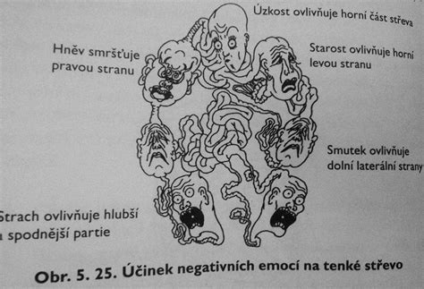 Ilustrácia znázorňujúca rôzne emócie po rozchode