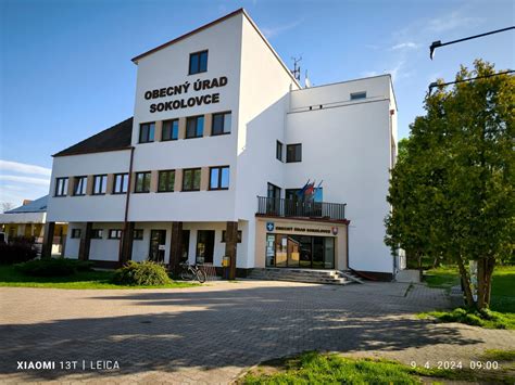 Obec Vinosady s vinicami a Malými Karpatmi v pozadí