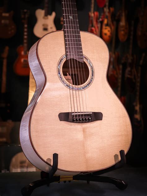 Sima s gitarou Dowina