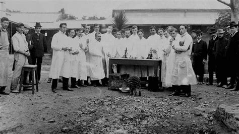 História veterinárnej medicíny