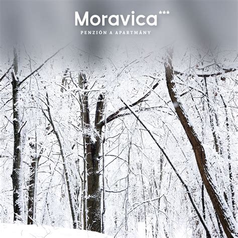 Zimná krajina v okolí Veľkého Rovného