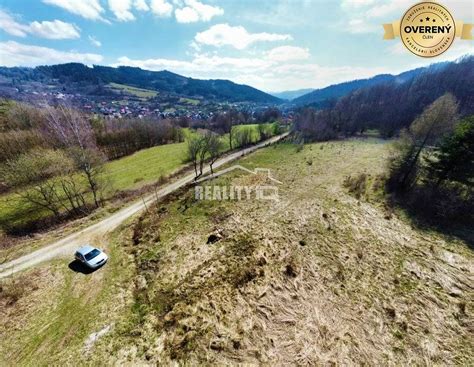 Letný pohľad na dedinskú cestu vo Veľkom Rovnom