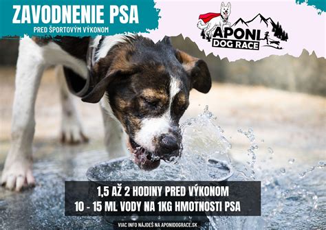 Tabuľka príjmu živín pred športovým výkonom