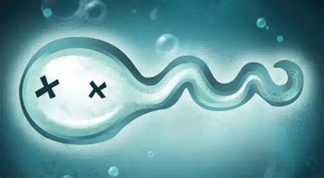 Mužská plodnosť a spermie