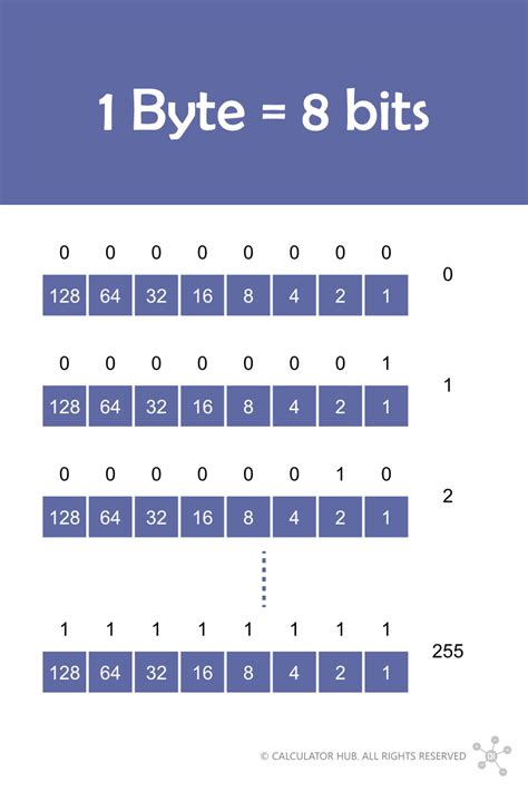 Diagram znázorňujúci 8 bitov tvoriacich jeden bajt