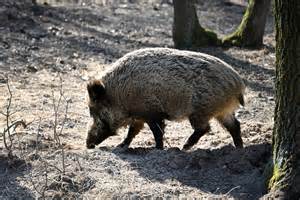Ilustračná fotografia mesta s bytovkami a rodinnými domami na predmestí