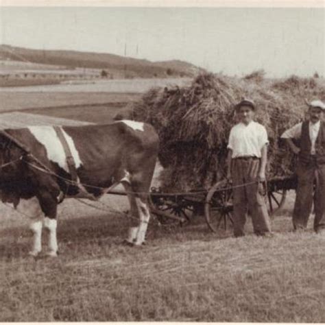 Fotografia tímu Maľovkárni pri práci