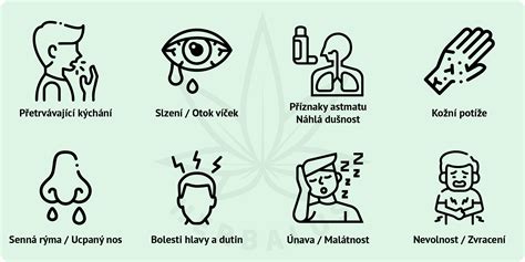 Ilustrácia symptómov alergie