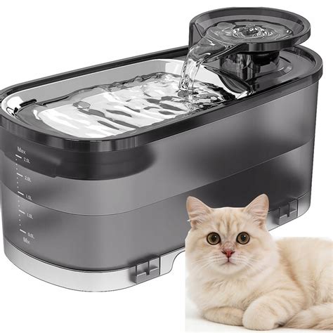 Pes v prepravke s miskou vody