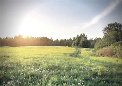 Diagram zobrazujúci právo prechodu cez pozemok