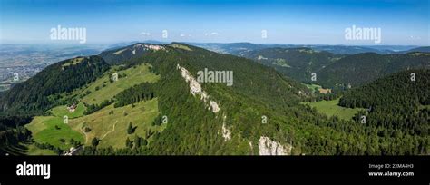 Panorama Svätého Jura s vinicami
