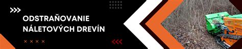 Odstraňovanie nežiadúcich drevín v parku